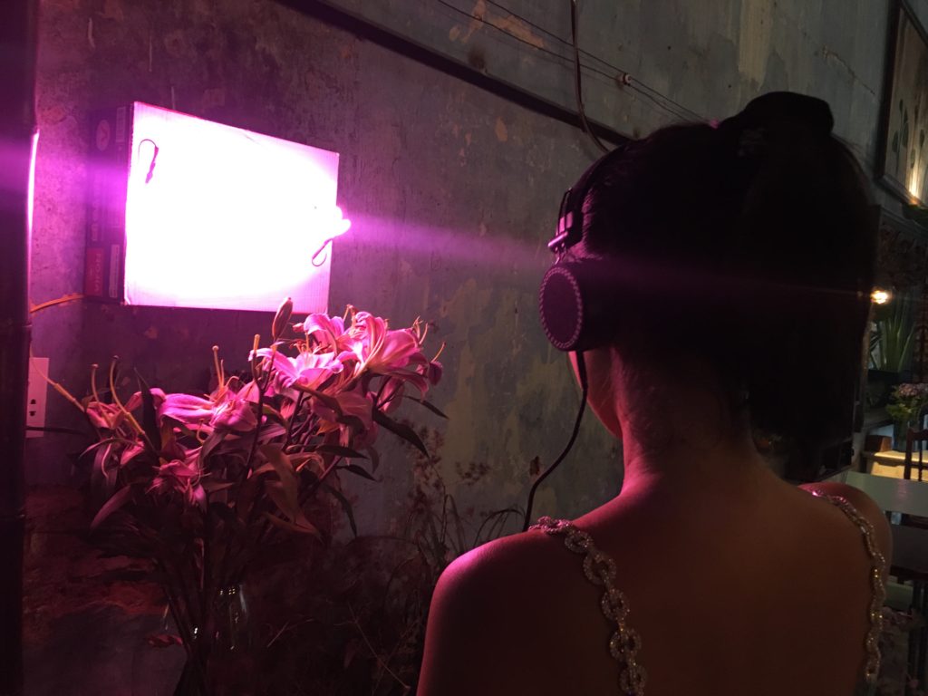 +1 museum by any other name | flowers | Tran Minh Duc — 17