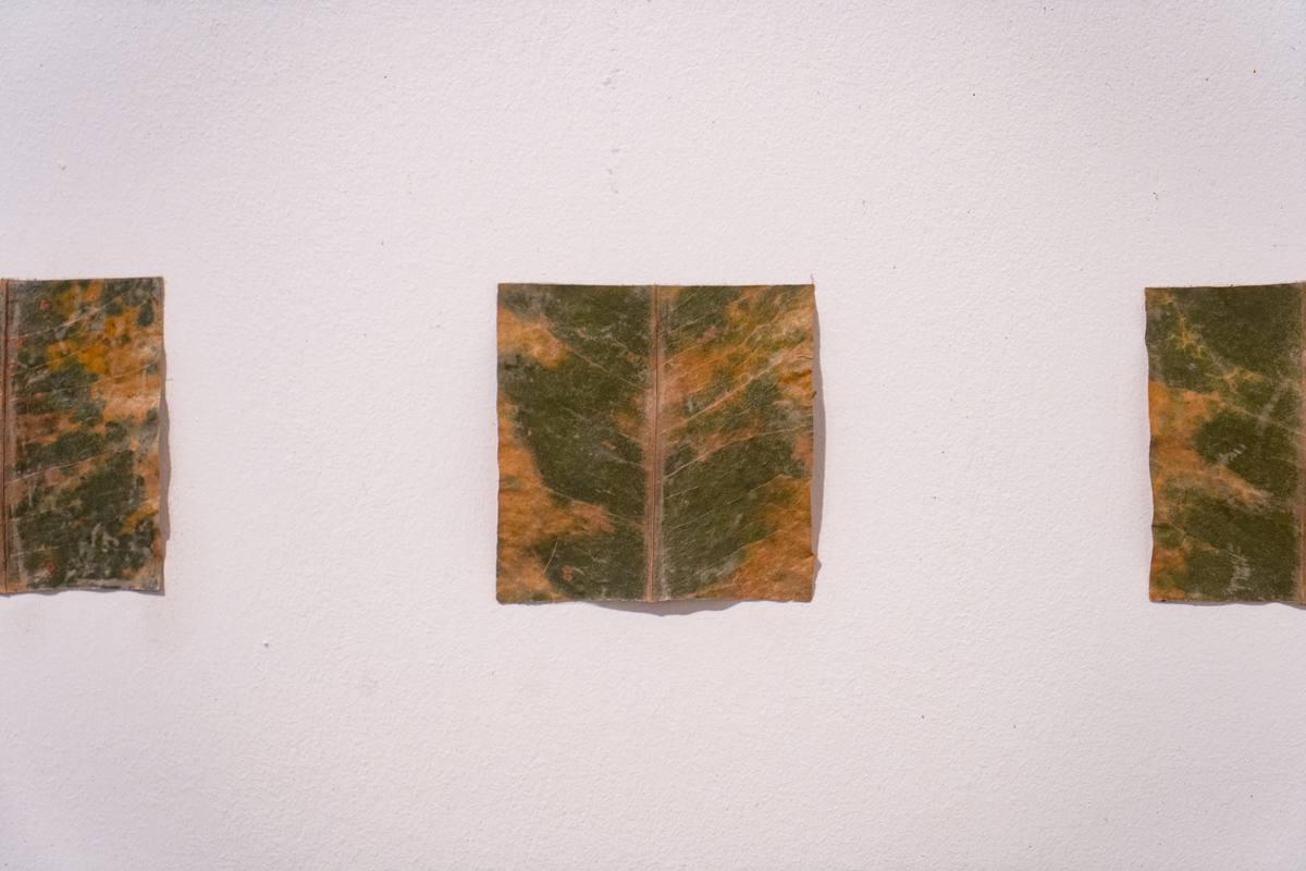 a.Farm | One World — 10