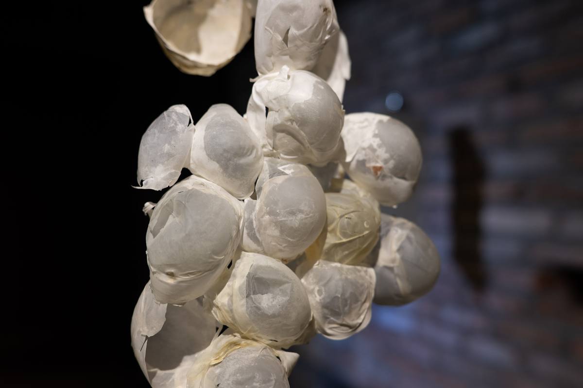 “A tingling sensation under the skin” by Kaki & “The Burden of Becoming” by Nguyễn Giao Xuân | Season 8 Open Studios — 19