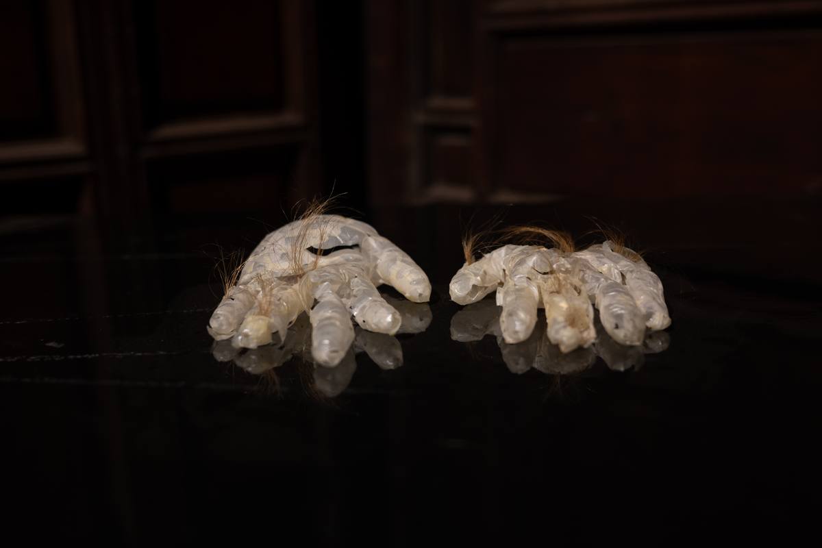 “A tingling sensation under the skin” by Kaki & “The Burden of Becoming” by Nguyễn Giao Xuân | Season 8 Open Studios — 17