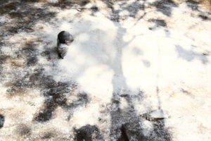 artist-in-residence | Aliansyah Caniago — 2