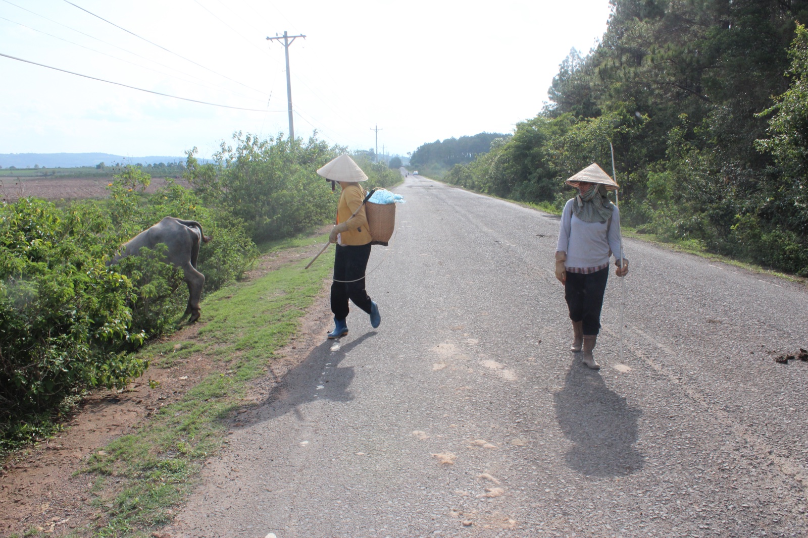 Enkhbold Togmidshiirev | @ Da Lat | performance | performance plus 2018 — 127