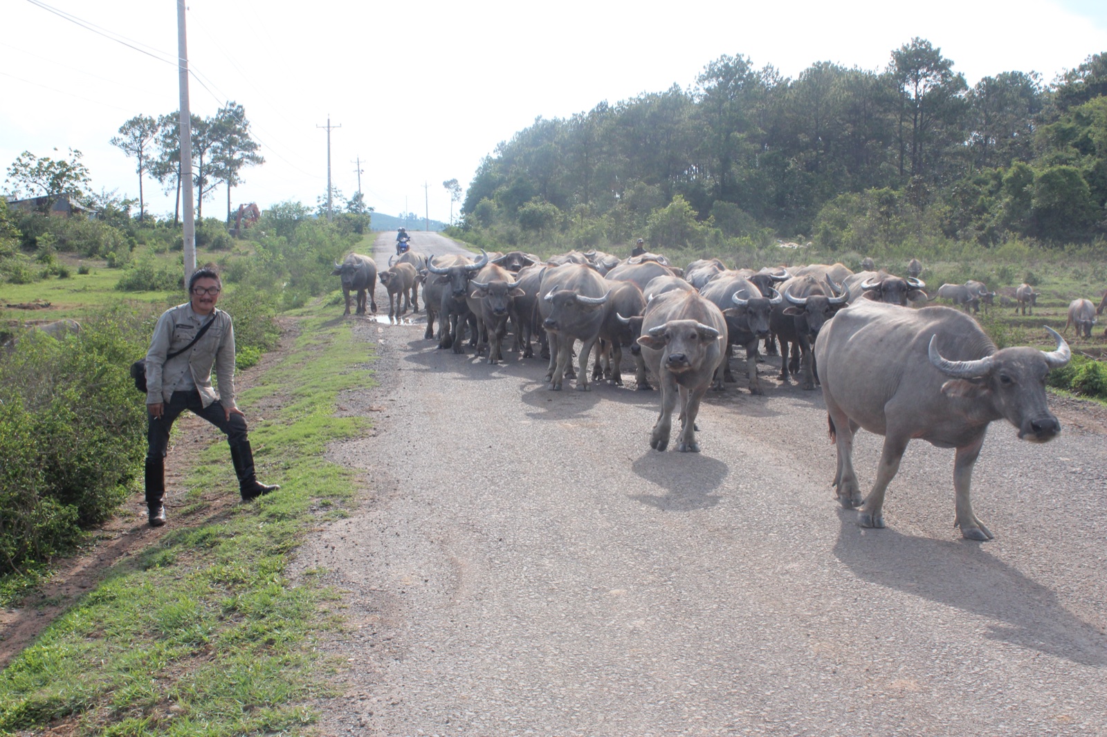 Enkhbold Togmidshiirev | @ Da Lat | performance | performance plus 2018 — 131