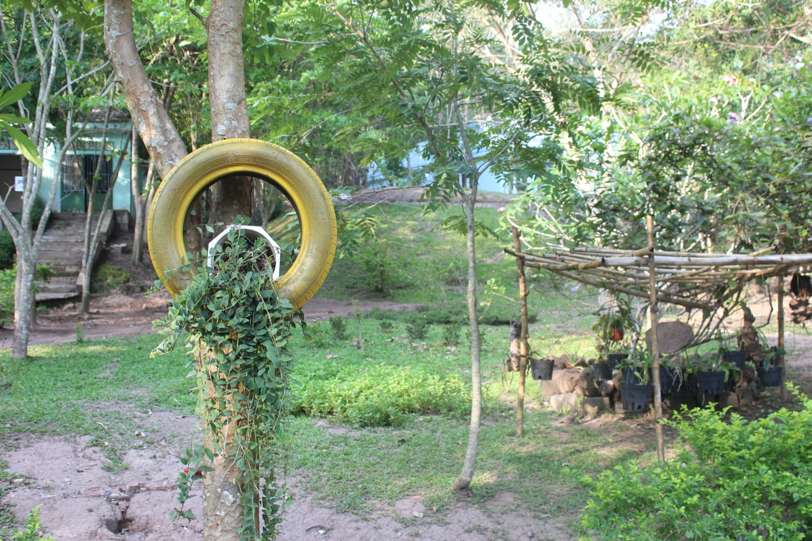 Enkhbold Togmidshiirev | @ Da Lat | performance | performance plus 2018 — 154
