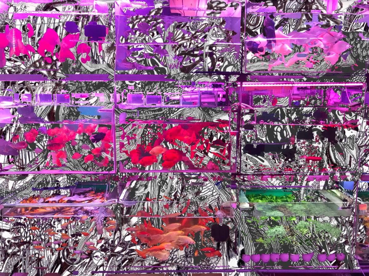 frozen data | Lananh Le — 14