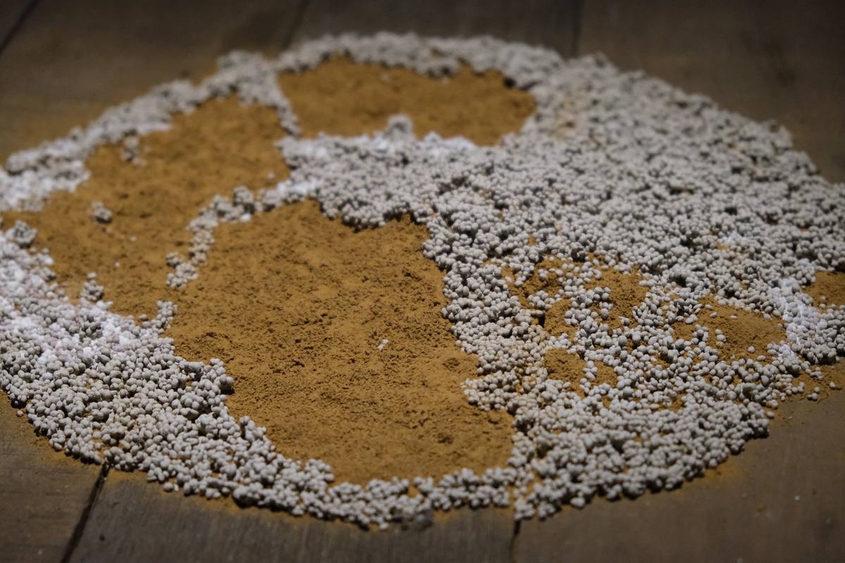 While The Soil Slumbers | Linh San — 14