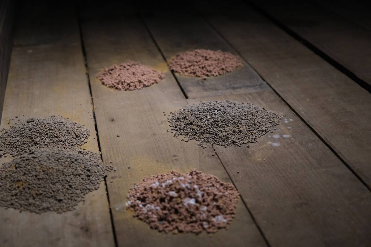 While The Soil Slumbers | Linh San — 10