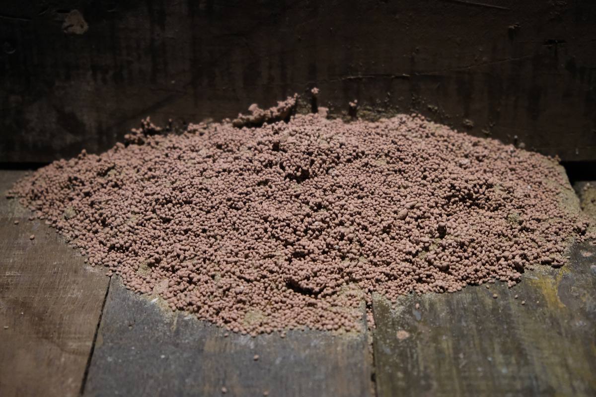 While The Soil Slumbers | Linh San — 12