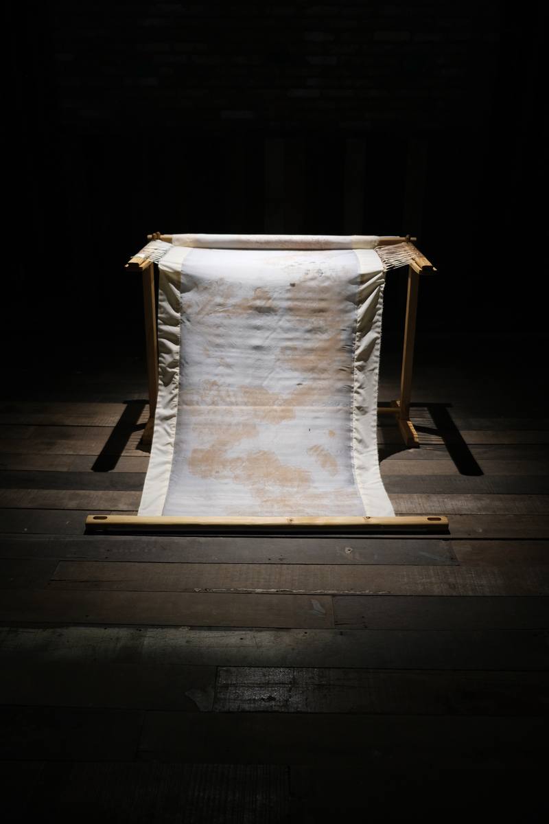While The Soil Slumbers | Linh San — 11