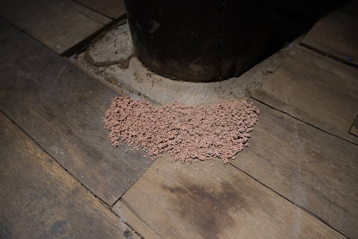While The Soil Slumbers | Linh San — 15